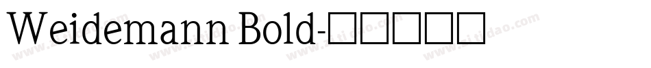 Weidemann Bold字体转换